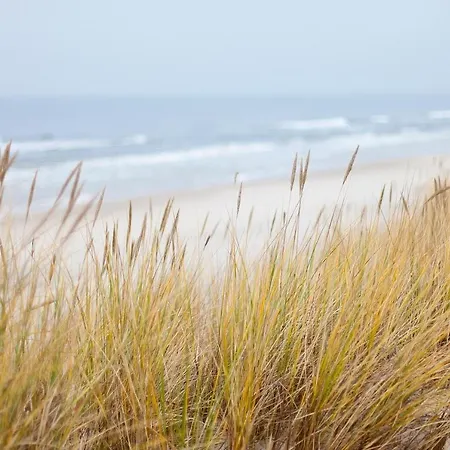 Meerholung 4 8 * Cuxhaven